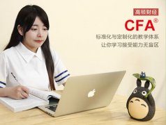 超强CFA持证人：CFA考试浅析